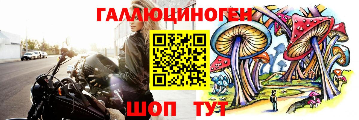 Холмск  Псилоцибиновые грибы Cubensis  Вход с VPN 